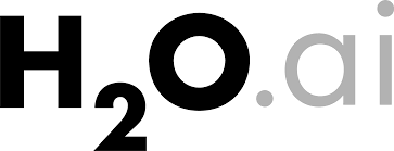 h2o ai